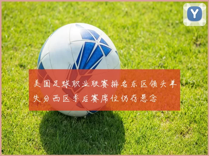 美国足球职业联赛排名东区领头羊失分西区季后赛席位仍存悬念